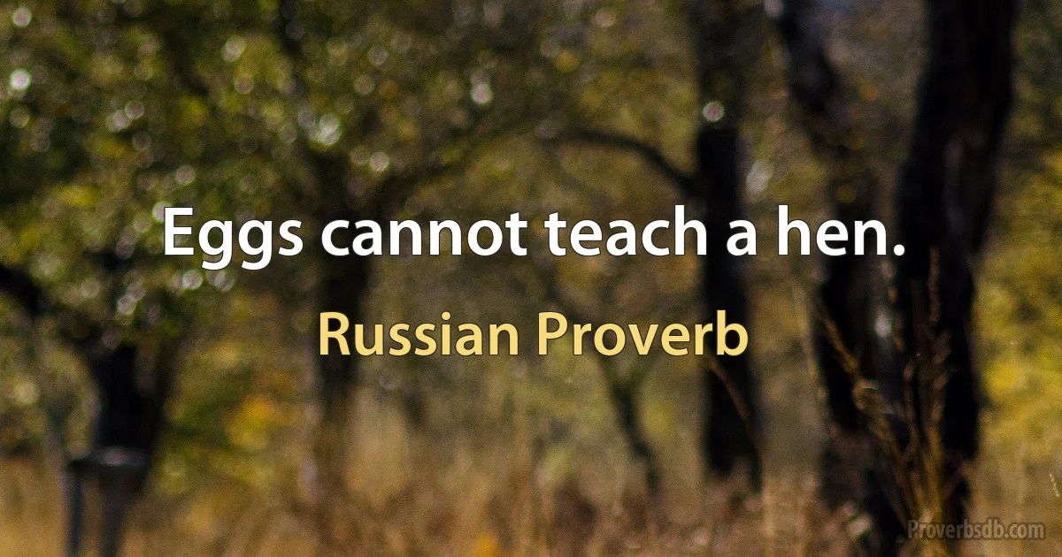 Eggs cannot teach a hen. (Russian Proverb)