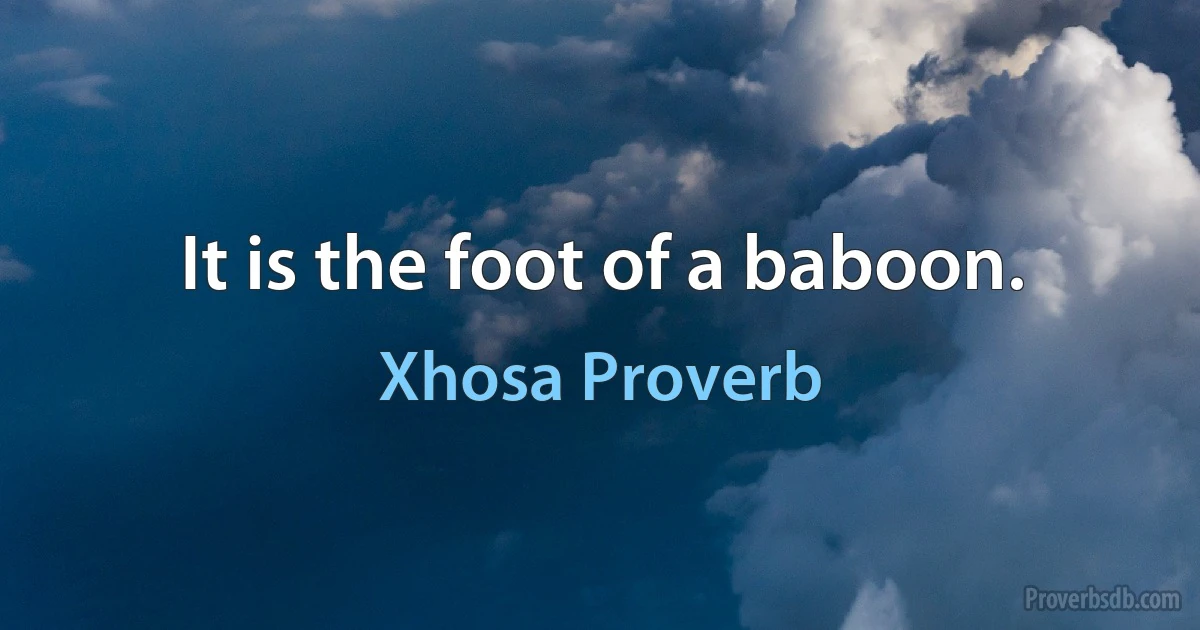 It is the foot of a baboon. (Xhosa Proverb)