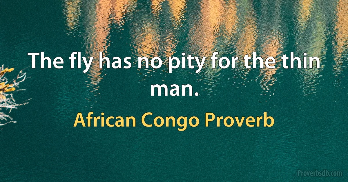 The fly has no pity for the thin man. (African Congo Proverb)