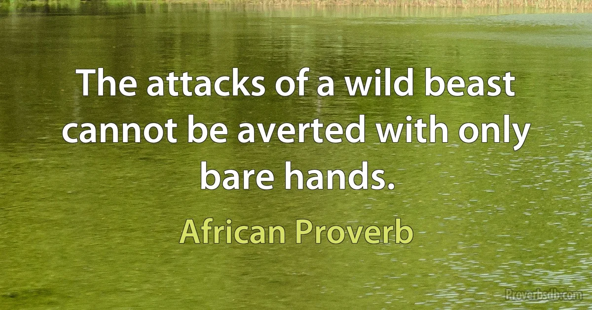 The attacks of a wild beast cannot be averted with only bare hands. (African Proverb)