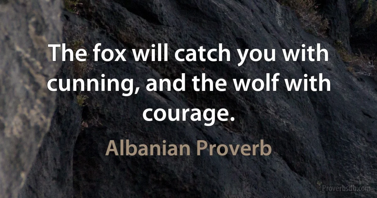 The fox will catch you with cunning, and the wolf with courage. (Albanian Proverb)