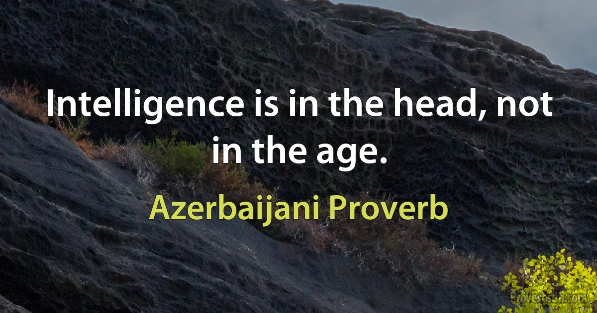 Intelligence is in the head, not in the age. (Azerbaijani Proverb)