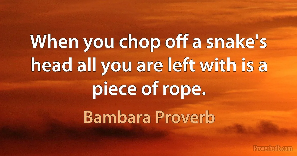 When you chop off a snake's head all you are left with is a piece of rope. (Bambara Proverb)