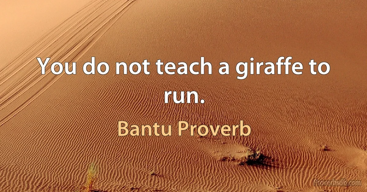 You do not teach a giraffe to run. (Bantu Proverb)