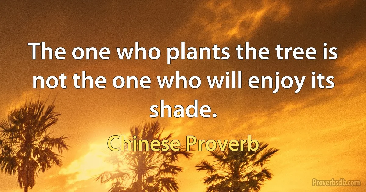 The one who plants the tree is not the one who will enjoy its shade. (Chinese Proverb)