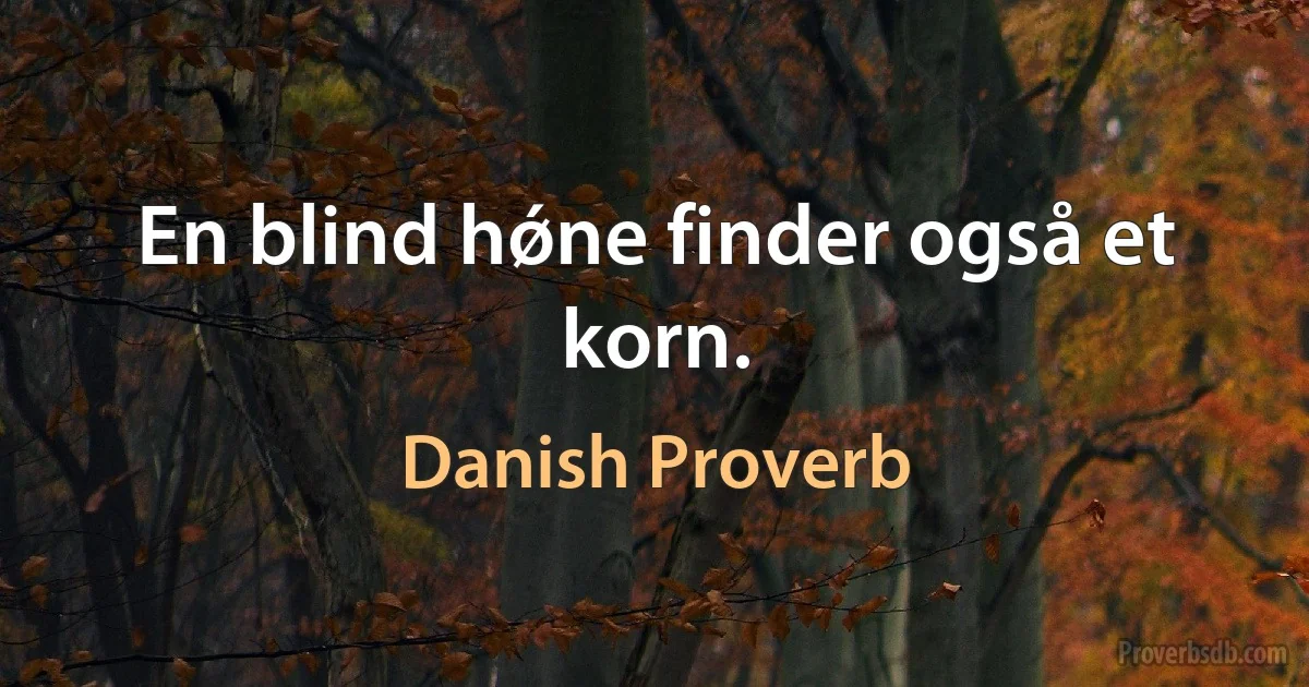 En blind hǿne finder også et korn. (Danish Proverb)