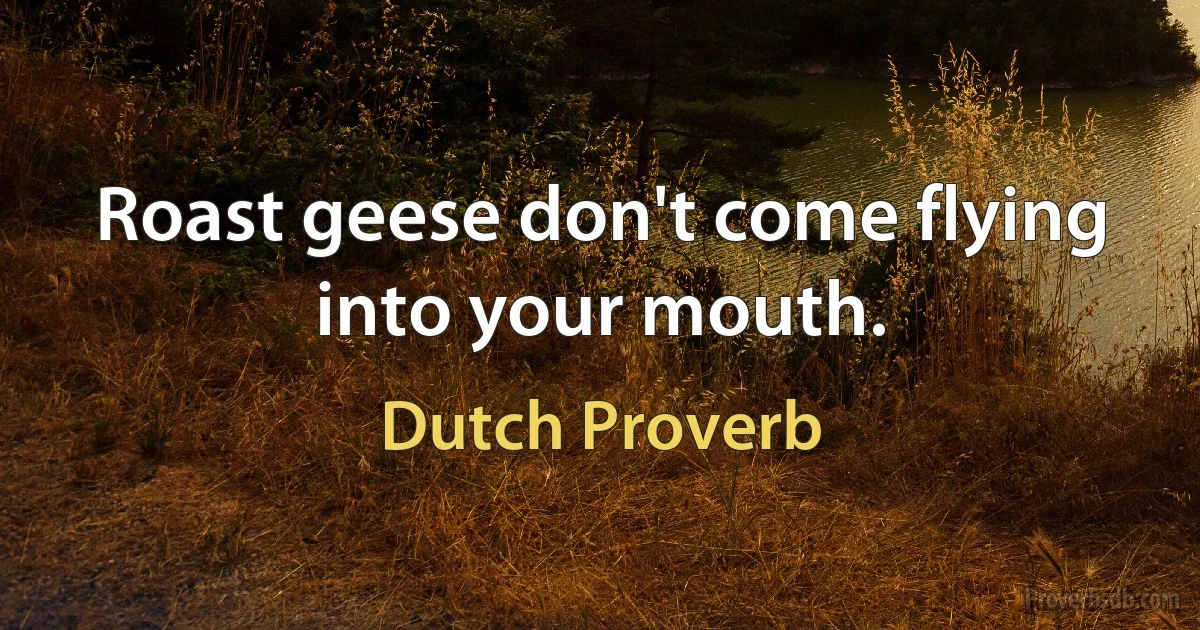 Roast geese don't come flying into your mouth. (Dutch Proverb)