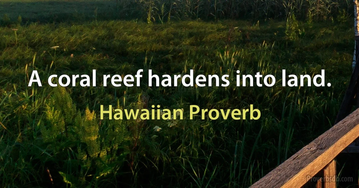 A coral reef hardens into land. (Hawaiian Proverb)