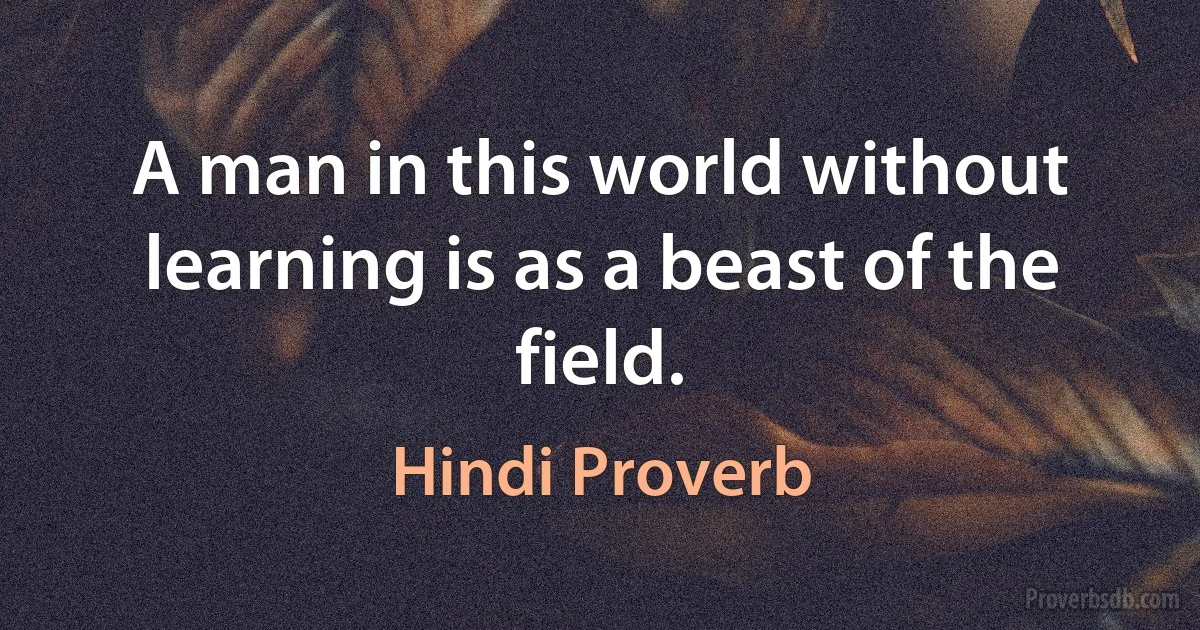 A man in this world without learning is as a beast of the field. (Hindi Proverb)