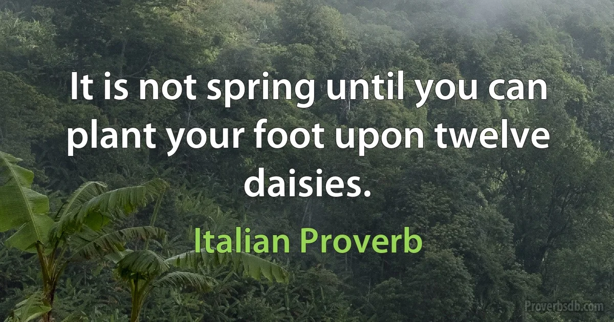 It is not spring until you can plant your foot upon twelve daisies. (Italian Proverb)