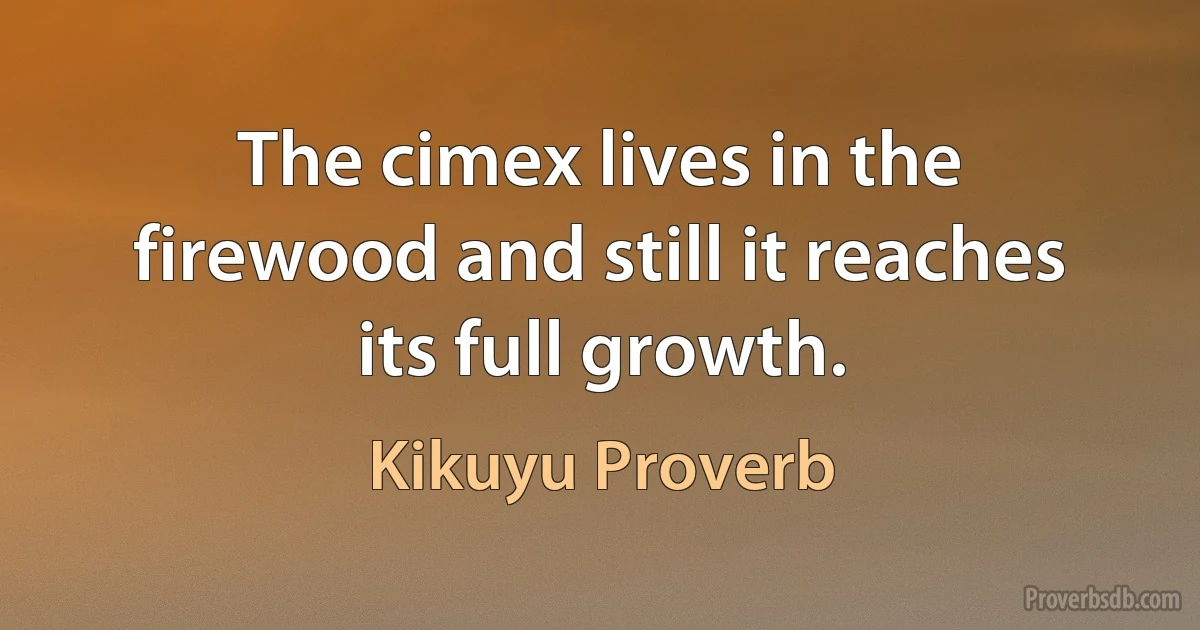 The cimex lives in the firewood and still it reaches its full growth. (Kikuyu Proverb)