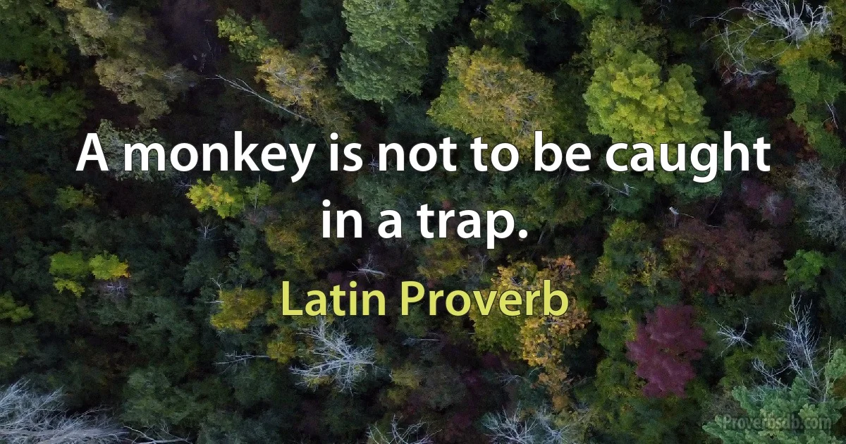 A monkey is not to be caught in a trap. (Latin Proverb)