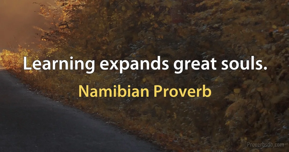 Learning expands great souls. (Namibian Proverb)