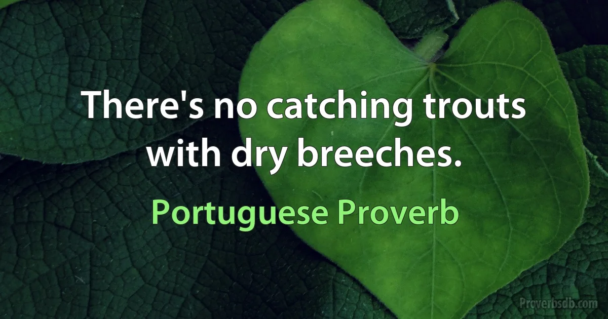 There's no catching trouts with dry breeches. (Portuguese Proverb)