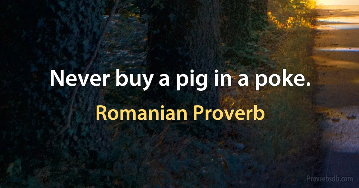 Never buy a pig in a poke. (Romanian Proverb)