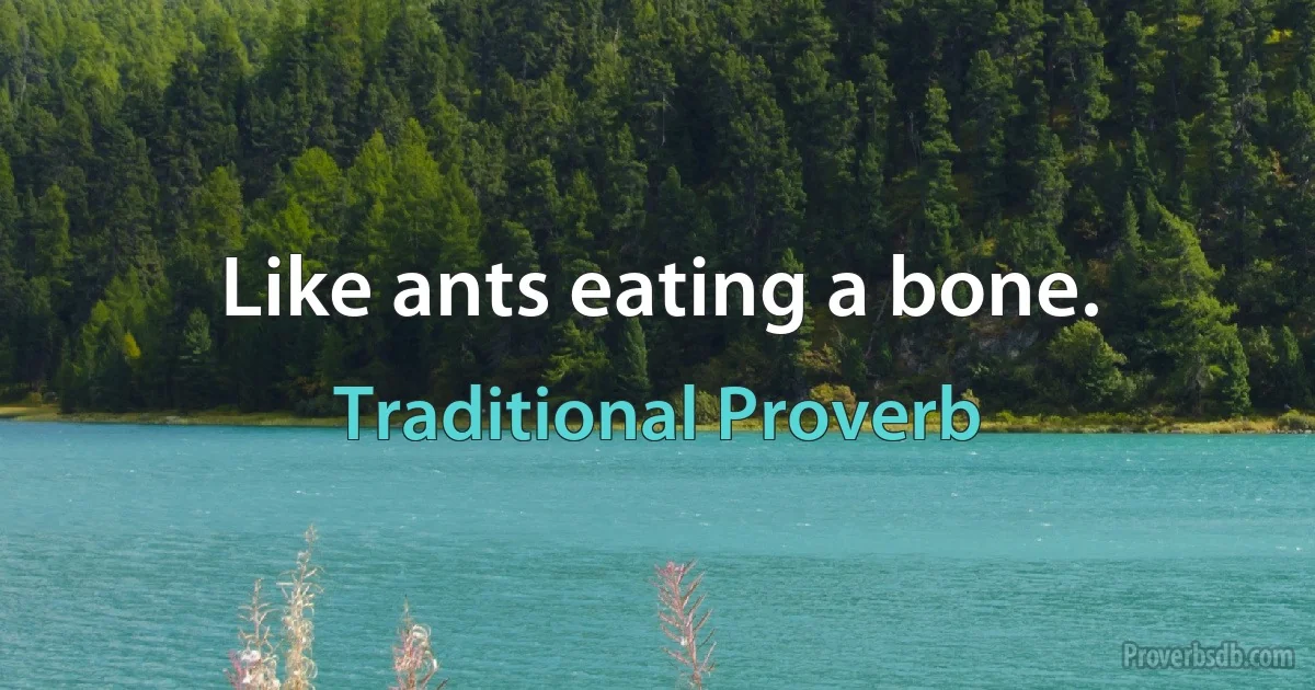 Like ants eating a bone. (Traditional Proverb)