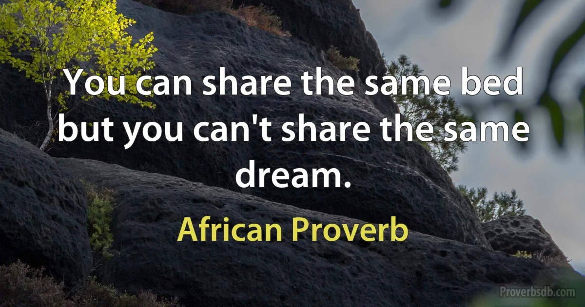 You can share the same bed but you can't share the same dream. (African Proverb)