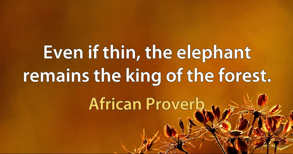 Even if thin, the elephant remains the king of the forest. (African Proverb)