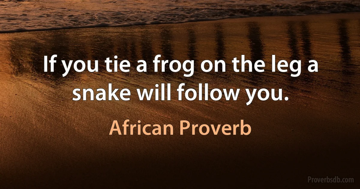 If you tie a frog on the leg a snake will follow you. (African Proverb)