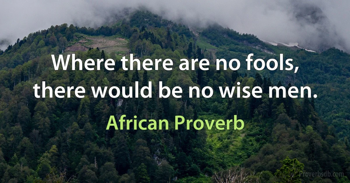 Where there are no fools, there would be no wise men. (African Proverb)