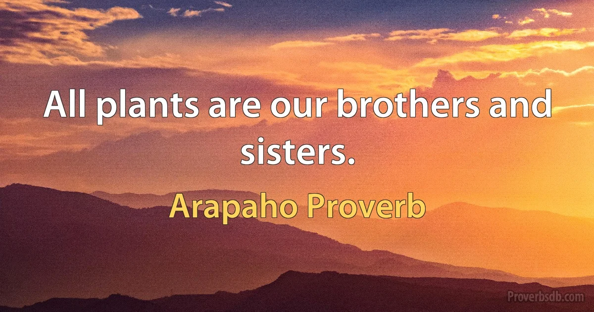 All plants are our brothers and sisters. (Arapaho Proverb)