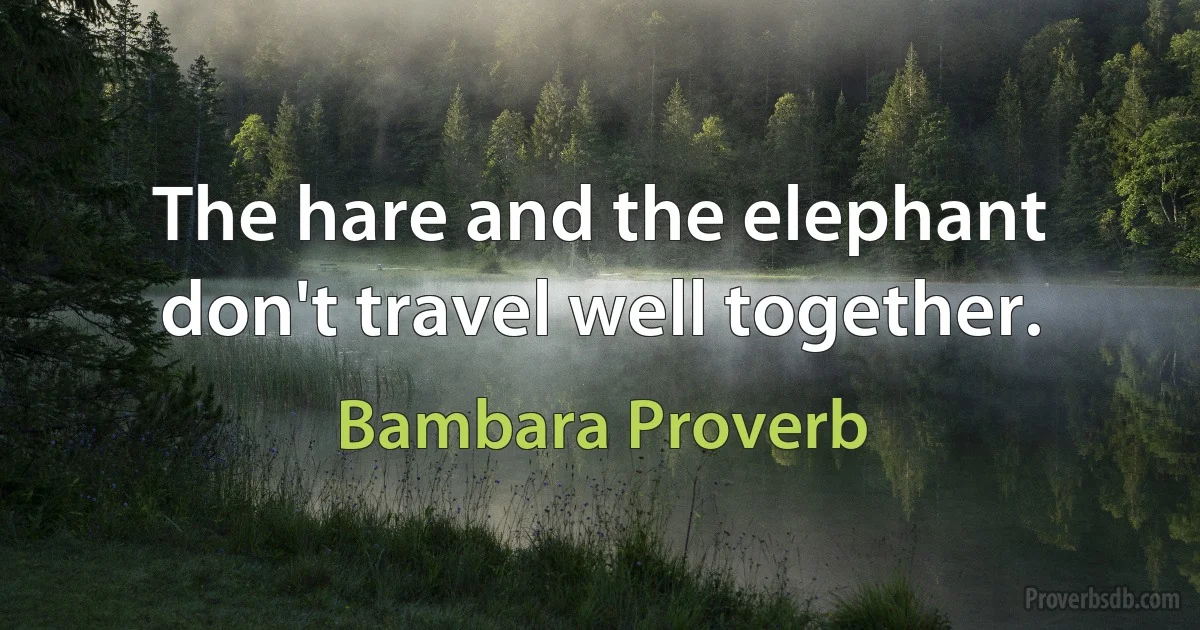 The hare and the elephant don't travel well together. (Bambara Proverb)