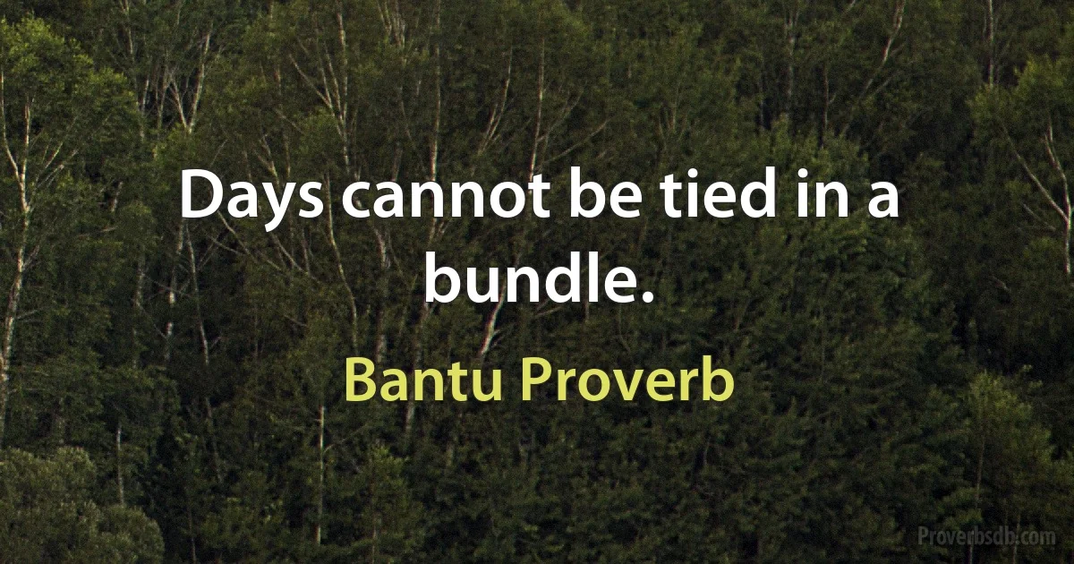 Days cannot be tied in a bundle. (Bantu Proverb)