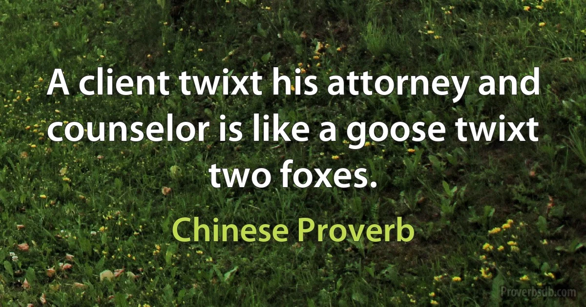 A client twixt his attorney and counselor is like a goose twixt two foxes. (Chinese Proverb)