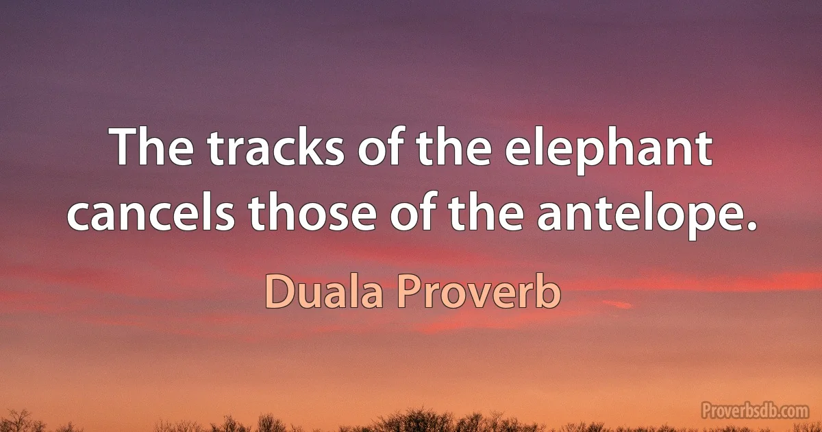 The tracks of the elephant cancels those of the antelope. (Duala Proverb)