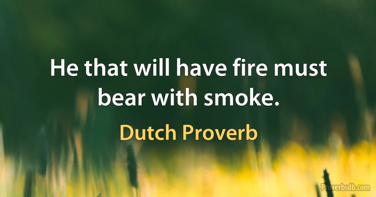 He that will have fire must bear with smoke. (Dutch Proverb)