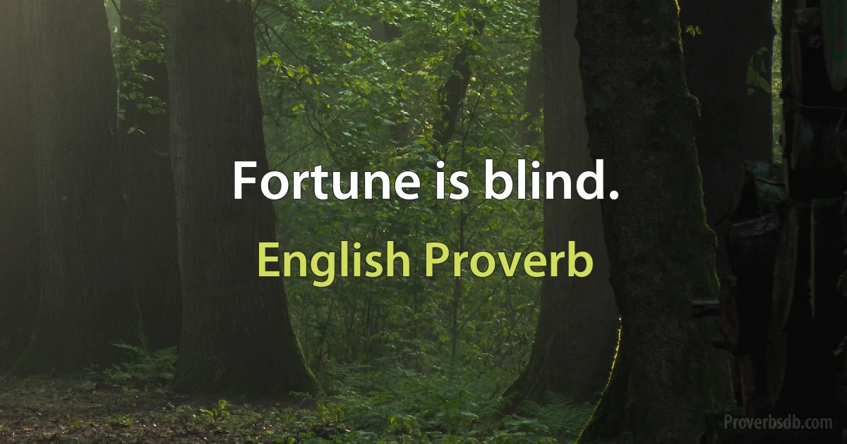 Fortune is blind. (English Proverb)