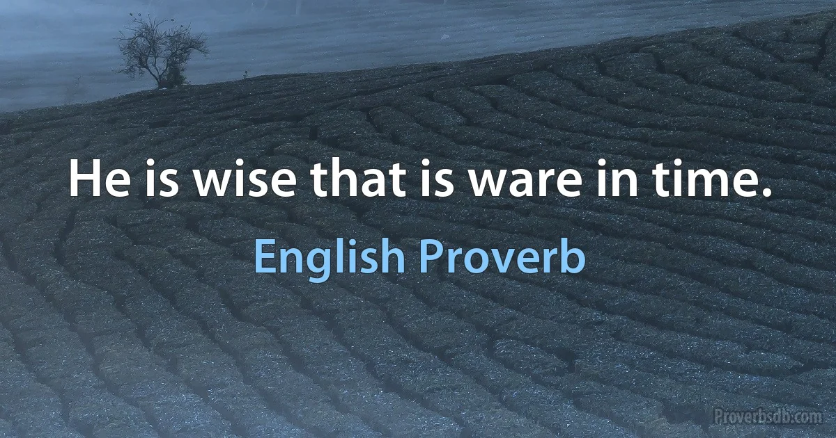 He is wise that is ware in time. (English Proverb)