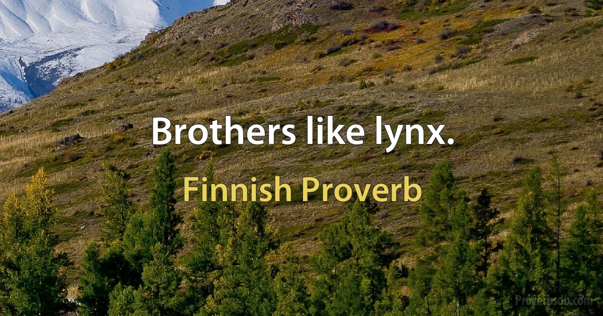 Brothers like lynx. (Finnish Proverb)