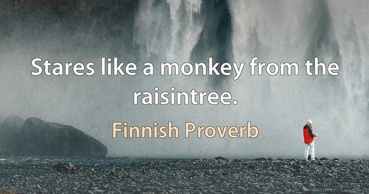 Stares like a monkey from the raisintree. (Finnish Proverb)