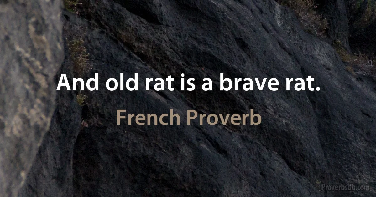 And old rat is a brave rat. (French Proverb)