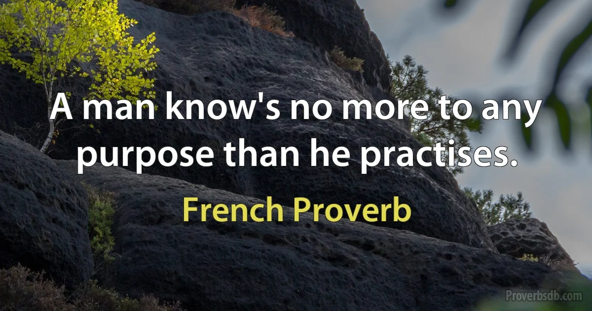 A man know's no more to any purpose than he practises. (French Proverb)