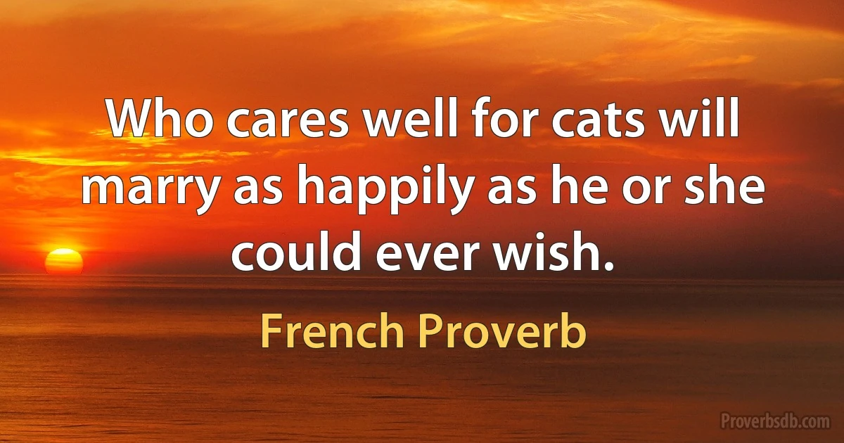 Who cares well for cats will marry as happily as he or she could ever wish. (French Proverb)