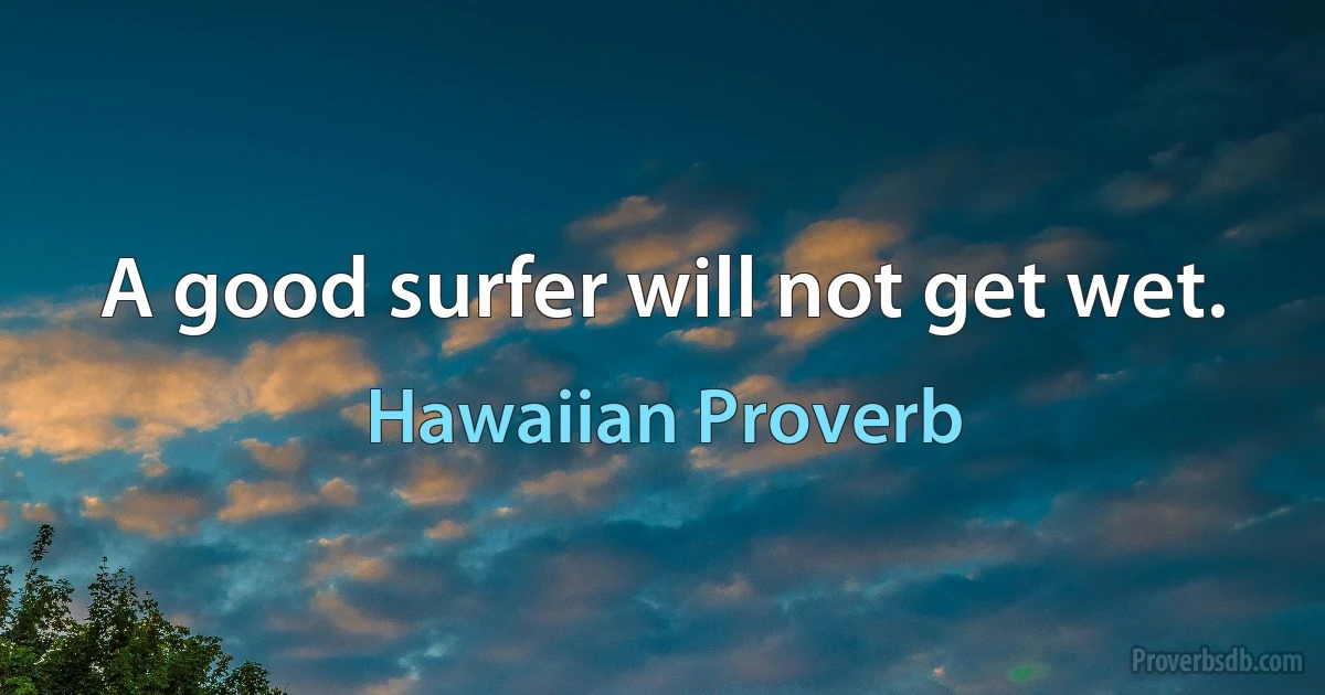 A good surfer will not get wet. (Hawaiian Proverb)