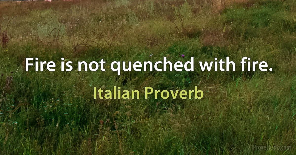 Fire is not quenched with fire. (Italian Proverb)