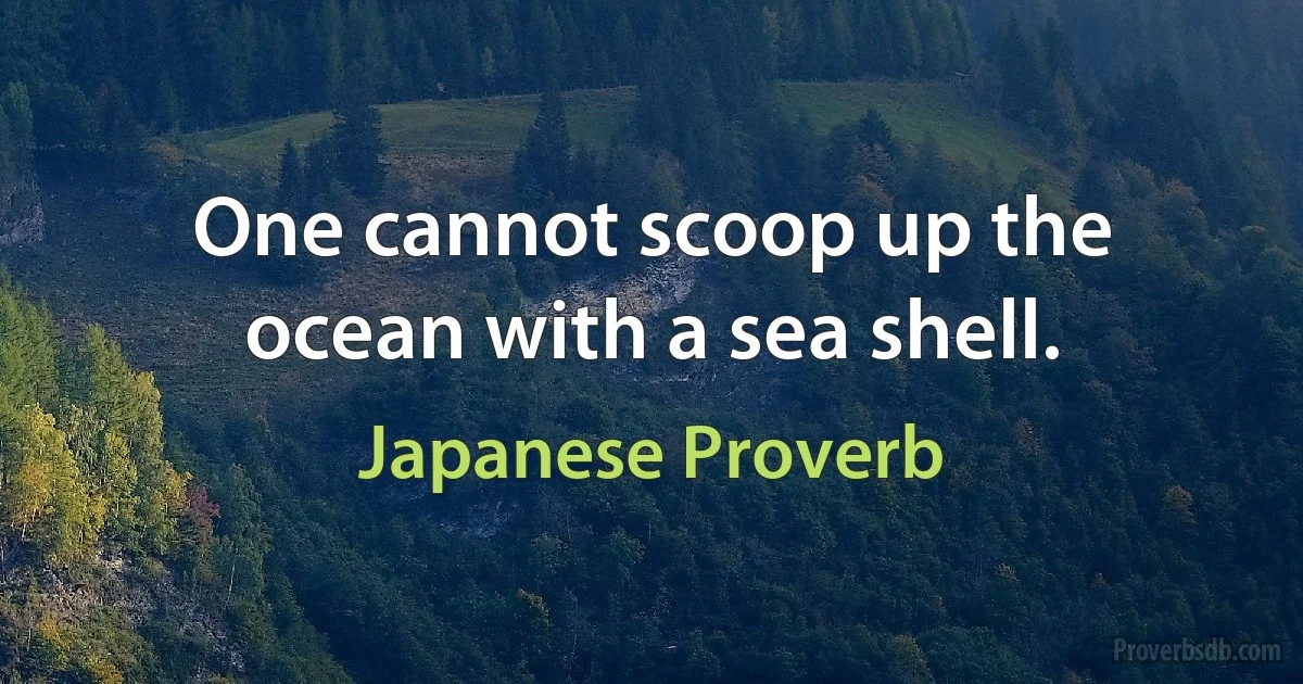 One cannot scoop up the ocean with a sea shell. (Japanese Proverb)