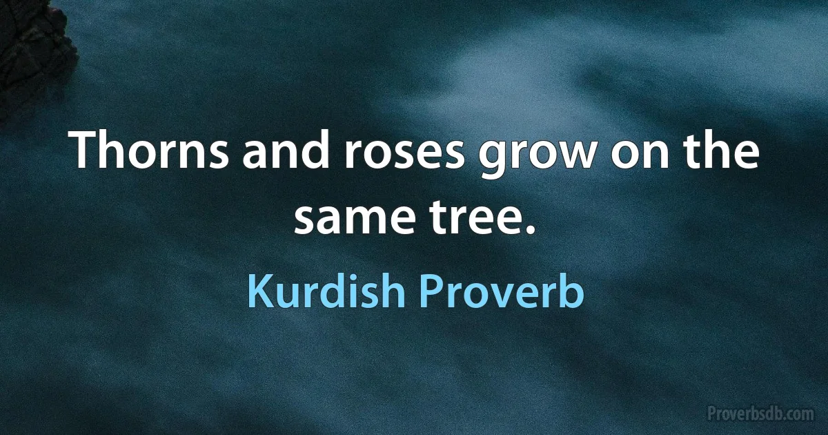 Thorns and roses grow on the same tree. (Kurdish Proverb)