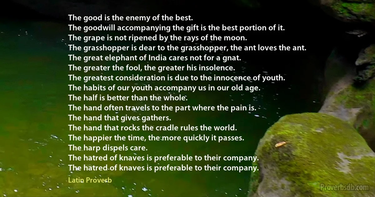 The good is the enemy of the best.
The goodwill accompanying the gift is the best portion of it.
The grape is not ripened by the rays of the moon.
The grasshopper is dear to the grasshopper, the ant loves the ant.
The great elephant of India cares not for a gnat.
The greater the fool, the greater his insolence.
The greatest consideration is due to the innocence of youth.
The habits of our youth accompany us in our old age.
The half is better than the whole.
The hand often travels to the part where the pain is.
The hand that gives gathers.
The hand that rocks the cradle rules the world.
The happier the time, the more quickly it passes.
The harp dispels care.
The hatred of knaves is preferable to their company.
The hatred of knaves is preferable to their company. (Latin Proverb)