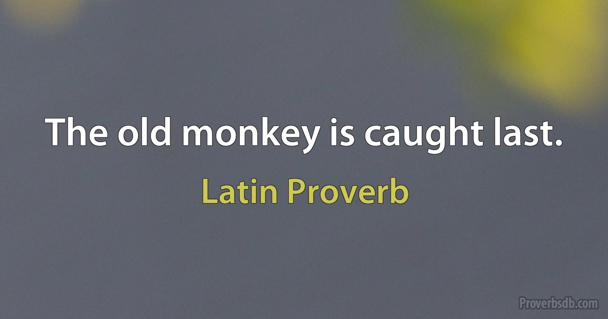 The old monkey is caught last. (Latin Proverb)