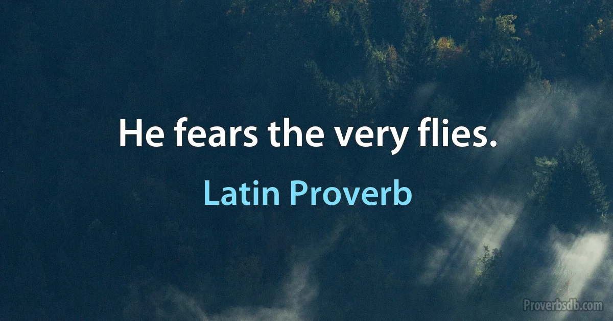 He fears the very flies. (Latin Proverb)