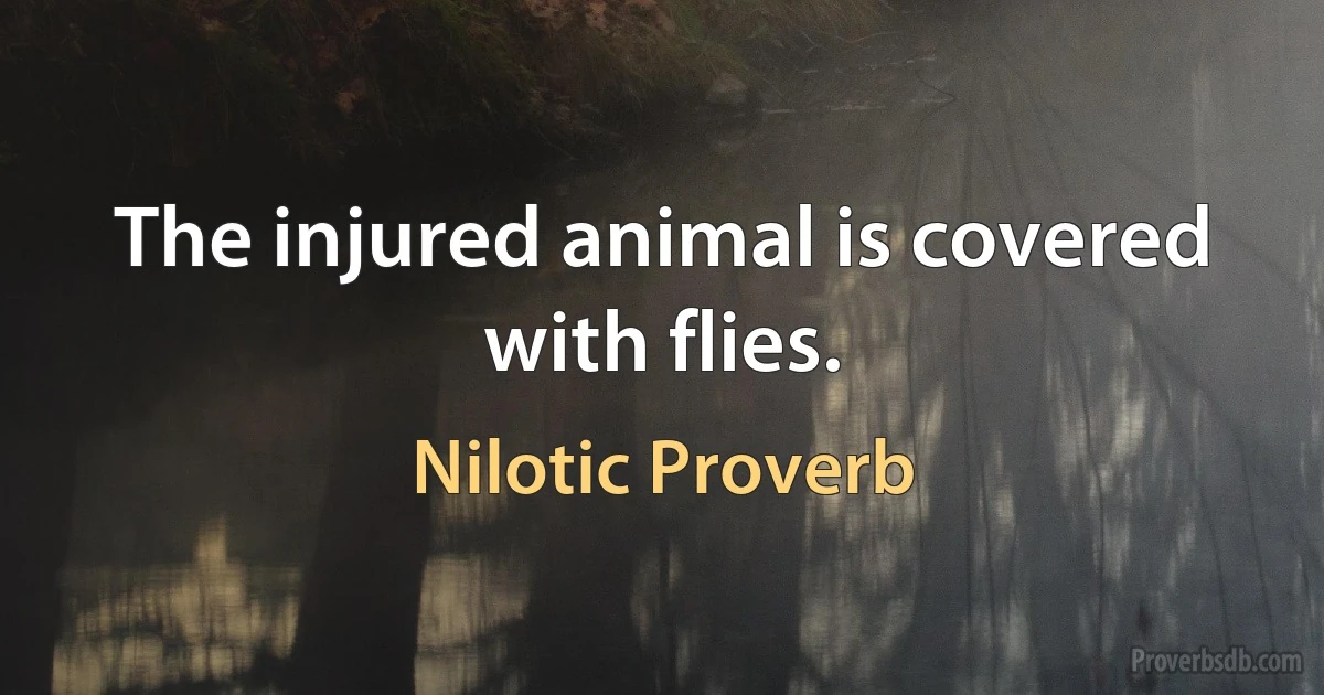 The injured animal is covered with flies. (Nilotic Proverb)