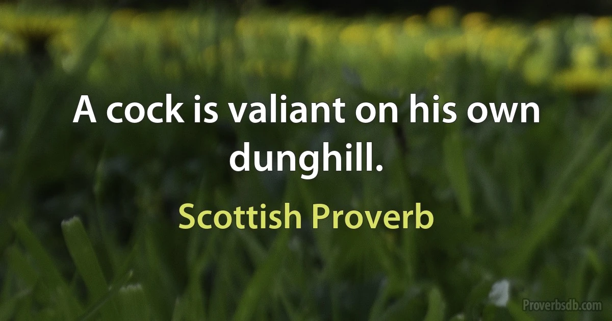 A cock is valiant on his own dunghill. (Scottish Proverb)