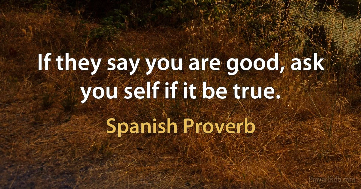 If they say you are good, ask you self if it be true. (Spanish Proverb)