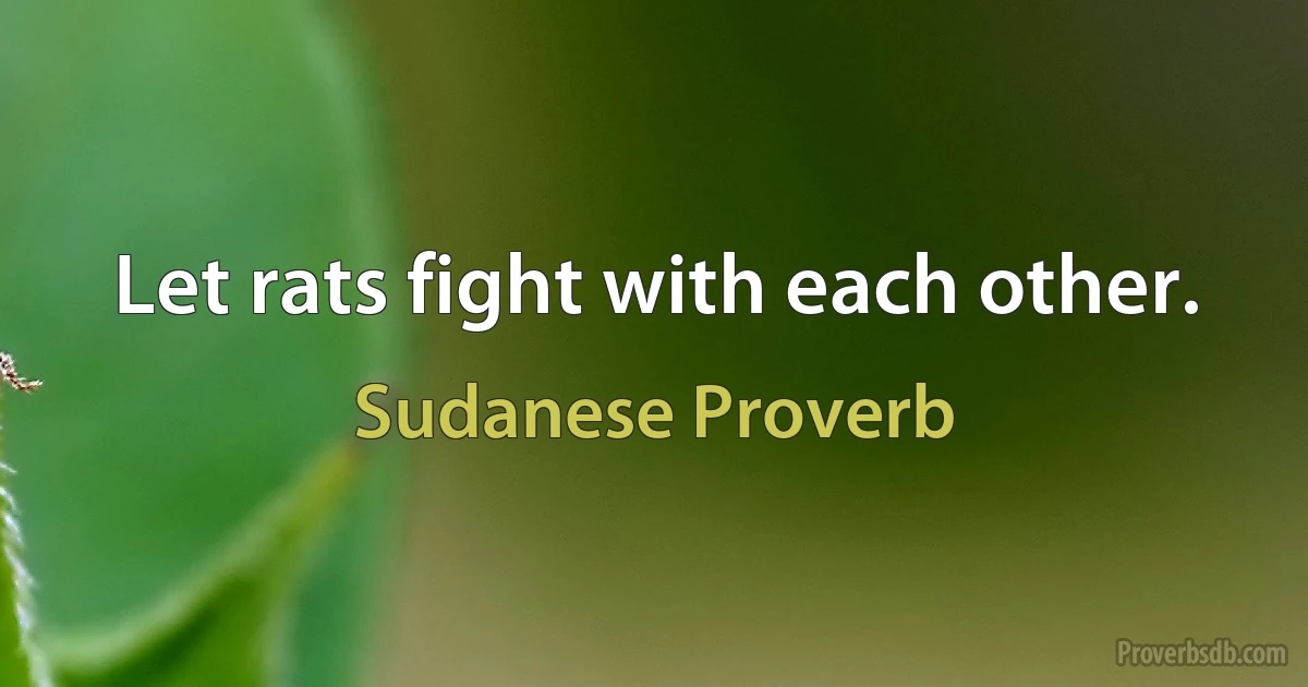 Let rats fight with each other. (Sudanese Proverb)