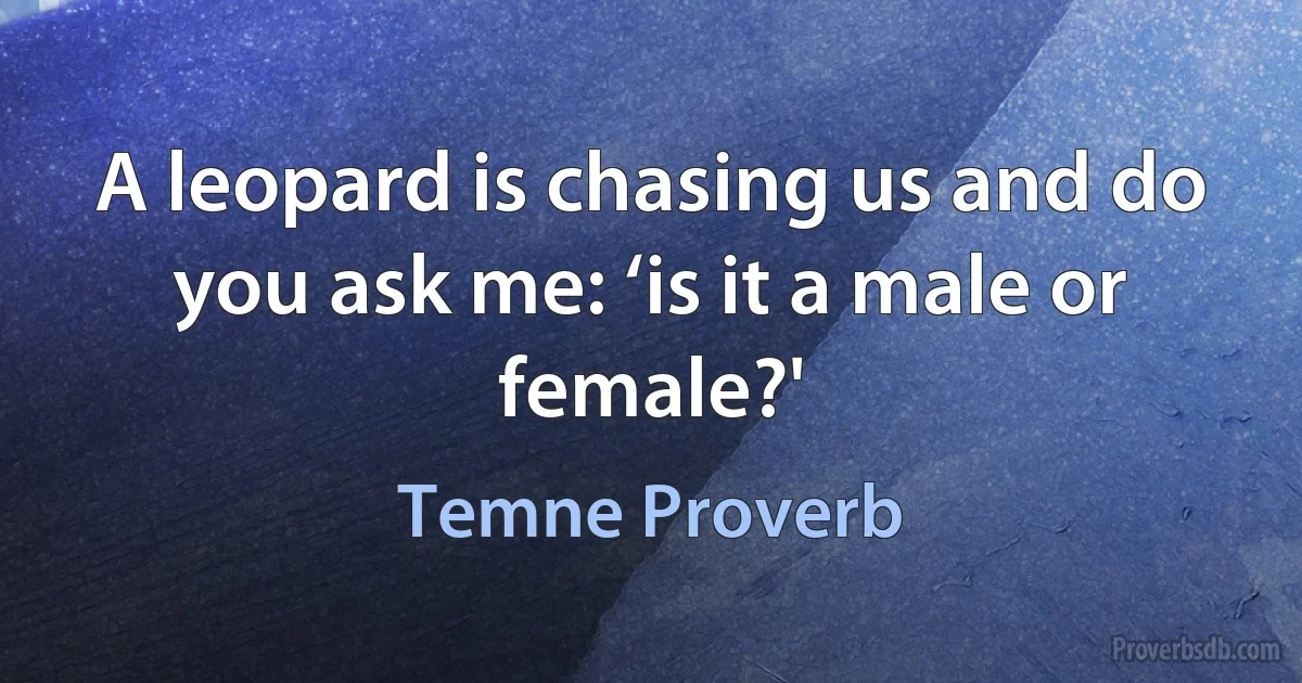 A leopard is chasing us and do you ask me: ‘is it a male or female?' (Temne Proverb)