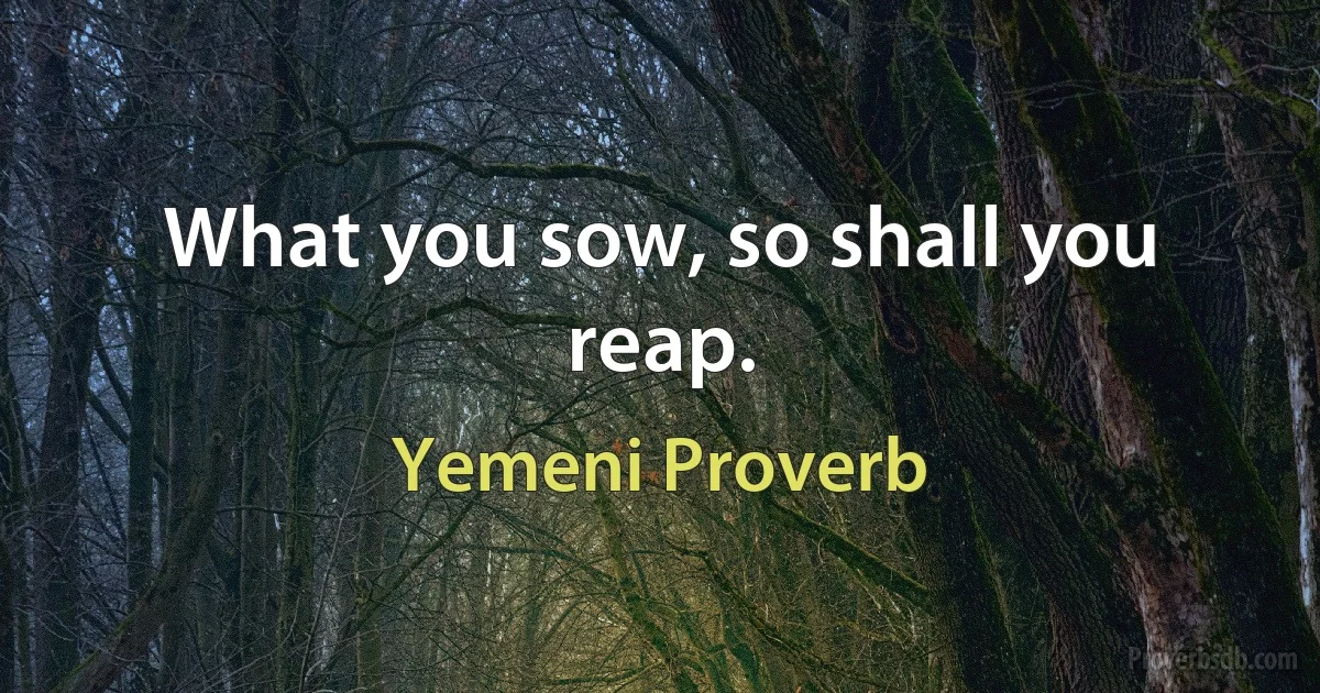 What you sow, so shall you reap. (Yemeni Proverb)